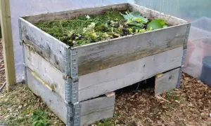 En kompost pallkrage fylld med grönt avfall och jord. Den är placerad utomhus på ett underlag av träflis.