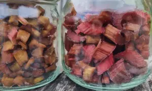 Två glasburkar fyllda med torkad rabarber, redo att användas i bakverk eller drycker.