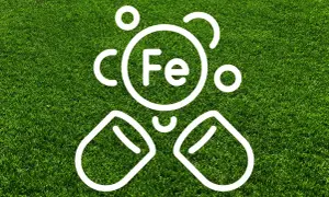Vit symbol för järn (Fe) och näringstillskott på gräsmatta, som illustrerar blåkorn dosering för en frisk grön yta.