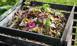 En kall kompost fylld med trädgårdsavfall, blommor och grönsaker. Snart blir det näringsrik jord för rabatten.