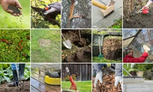 Trädgårdsskötsel: gödsling med blå korn, beskärning, rensning, plantering, kompostering och rengöring.