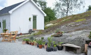En vit stuga med gröna detaljer och en grusad uteplats med trädgårdsmöbler och krukor. En stenig sluttning med vildblommor syns i bakgrunden.