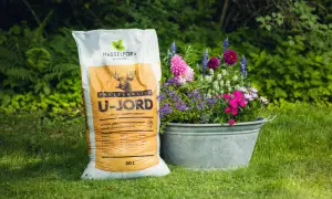 En säck U-jord för sommarblommor i kruka står bredvid en zinkbalja fylld med vackra sommarblommor i kruka.