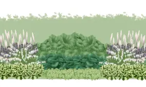 En illustration av en trädgårdsbädd med olika låga perenner, inklusive hosta, astilbe och hjärtansblomma, med en silhuett av en person till höger.