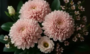 En bukett med rosa snittblommor, inklusive fluffiga krysantemum och små rosa blommor, som visar olika snittblommor sorter.