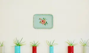 Flera aloe vera-plantor i färgglada burkar på en hylla. Ovanför hänger en ljusblå bricka med en blomdekor.
