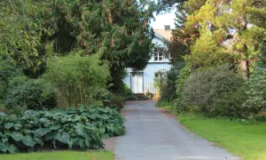 En vacker trädgård med en blåvit villa i bakgrunden. En stig leder fram till huset, kantad av frodiga växter och buskar som ser ut att vara redo att plantera buskar.