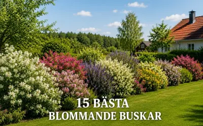 En vacker trädgård med en rad av blommande buskar i olika färger, från vitt och rosa till lila och gult.