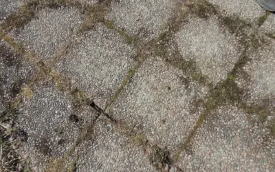 Grå stenplattor med mossa och gräs som behöver tas bort.