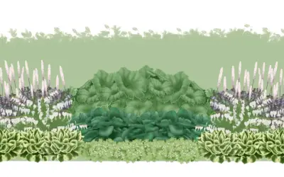 En illustration av en trädgårdsbädd med olika låga perenner, inklusive hosta, astilbe och hjärtansblomma, med en silhuett av en person till höger.