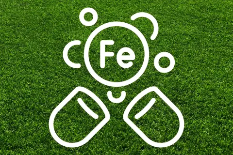 Vit symbol för järn (Fe) och näringstillskott på gräsmatta, som illustrerar blåkorn dosering för en frisk grön yta.