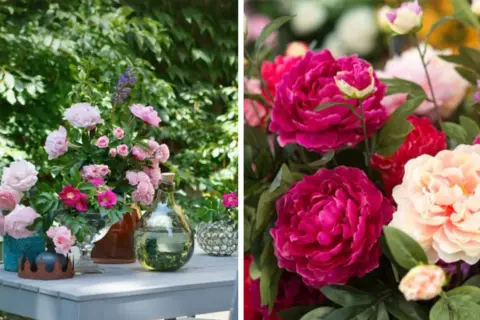 En bukett med rosa pioner och andra blommor på ett bord utomhus. Till höger syns en närbild på fylliga pioner i cerise och ljusrosa.