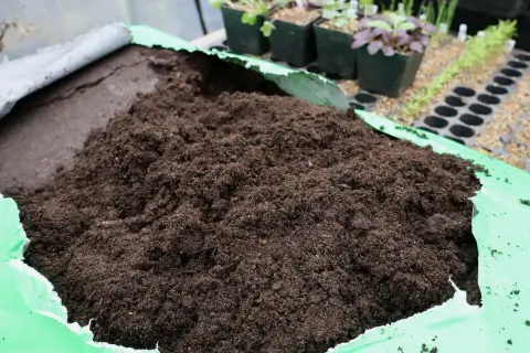 En stor hög med mörk, fuktig jord ligger i en öppen grön plastpåse. I bakgrunden syns små plantor i krukor och såbrätten, redo att planteras i den sterilisera jorden.