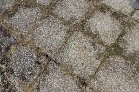 Grå stenplattor med mossa och gräs som behöver tas bort.