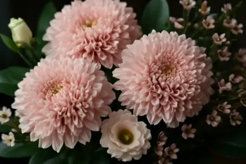 En bukett med rosa snittblommor, inklusive fluffiga krysantemum och små rosa blommor, som visar olika snittblommor sorter.