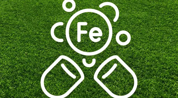 Vit symbol för järn (Fe) och näringstillskott på gräsmatta, som illustrerar blåkorn dosering för en frisk grön yta.