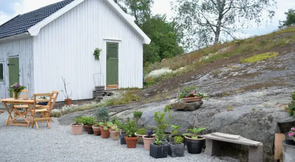 En vit stuga med gröna detaljer och en grusad uteplats med trädgårdsmöbler och krukor. En stenig sluttning med vildblommor syns i bakgrunden.