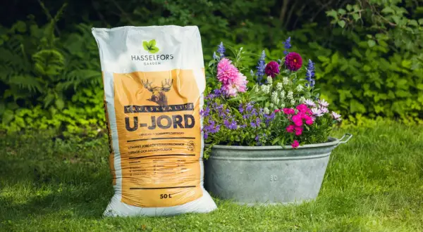 En säck U-jord för sommarblommor i kruka står bredvid en zinkbalja fylld med vackra sommarblommor i kruka.