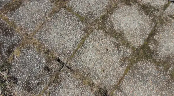 Grå stenplattor med mossa och gräs som behöver tas bort.