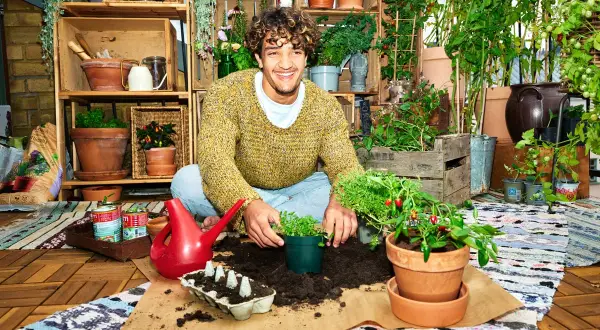 Glad man planterar örter och chili för att odla kryddor inomhus. Allt för en grönskande balkong.