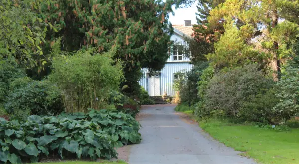 En vacker trädgård med en blåvit villa i bakgrunden. En stig leder fram till huset, kantad av frodiga växter och buskar som ser ut att vara redo att plantera buskar.