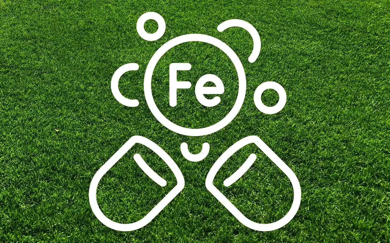 Vit symbol för järn (Fe) och näringstillskott på gräsmatta, som illustrerar blåkorn dosering för en frisk grön yta.