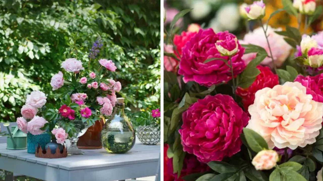 En bukett med rosa pioner och andra blommor på ett bord utomhus. Till höger syns en närbild på fylliga pioner i cerise och ljusrosa.