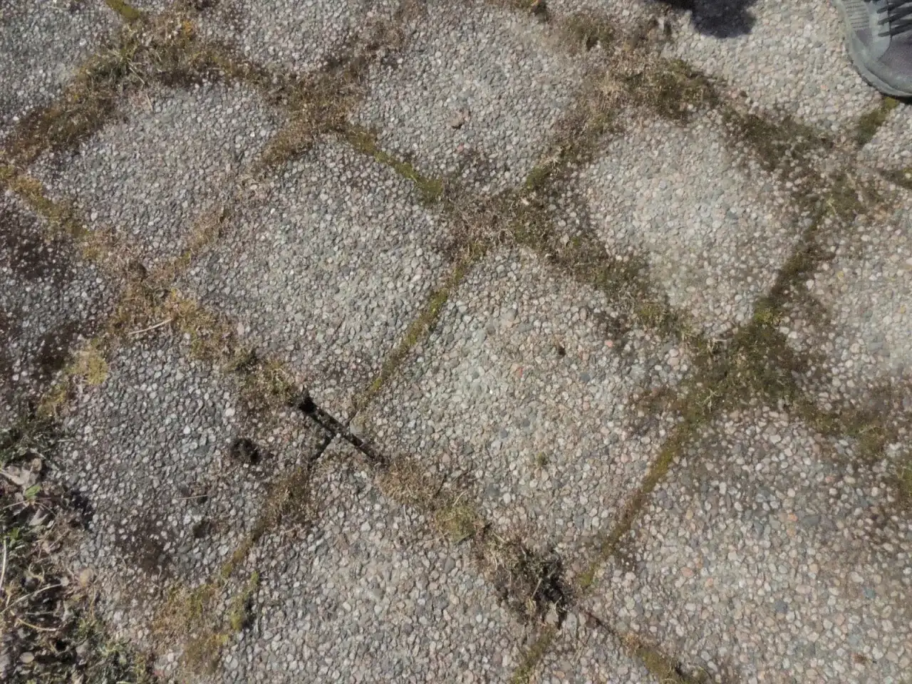 Grå stenplattor med mossa och gräs som behöver tas bort.