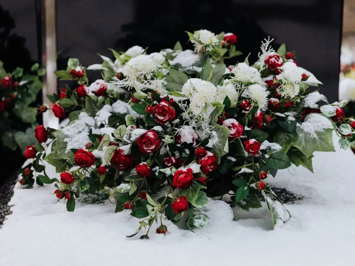 Vackra bilder p&aring; gravplanteringar med r&ouml;da rosor och vita blommor t&auml;ckta av sn&ouml;. En stillsam hyllning i vinterlandskapet.