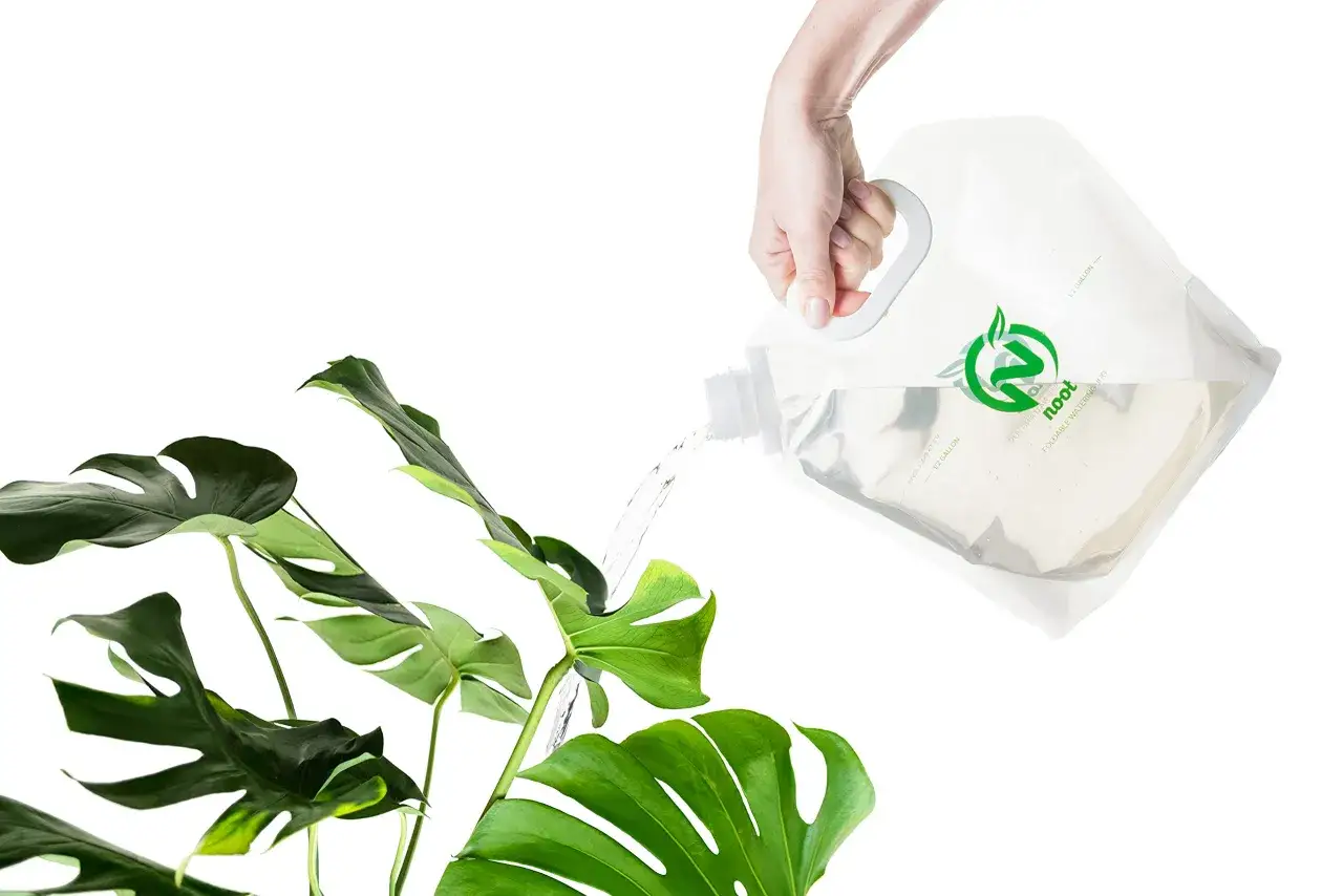 En hand h&auml;ller guldvatten inomhus fr&aring;n en vikbar vattenkanna till en gr&ouml;n Monstera-v&auml;xt.