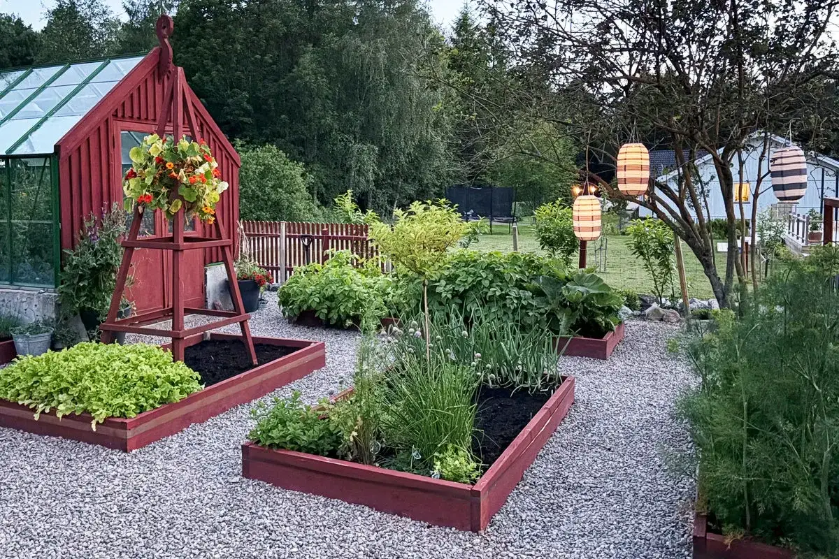 En vacker tr&auml;dg&aring;rd med pallkragar d&auml;r man kan plantera hallon. Ett v&auml;xthus och r&ouml;da lyktor bidrar till st&auml;mningen.