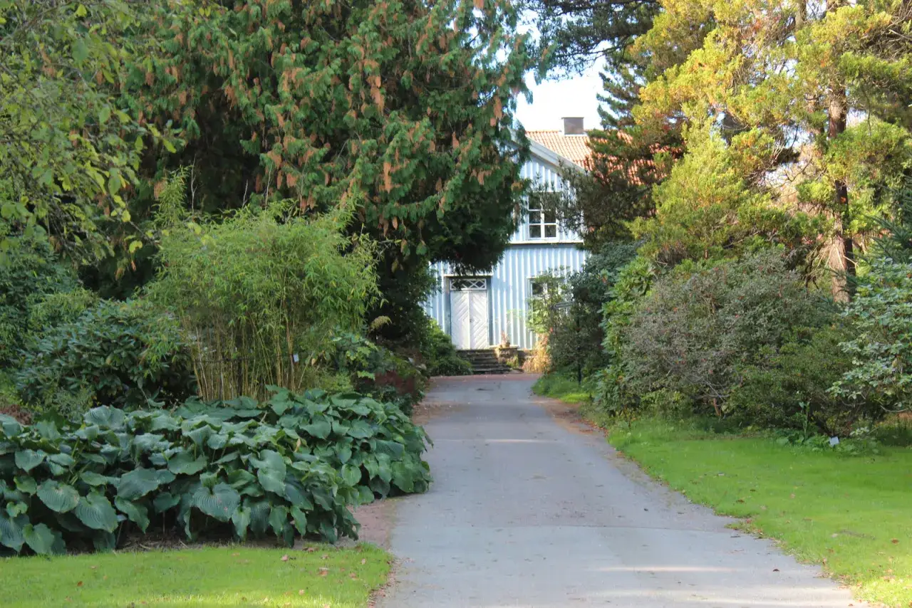 Vacker trädgård med en blåvit villa i bakgrunden. En grusväg leder fram till huset, kantad av frodiga växter och träd. Perfekt plats att plantera buskar.
