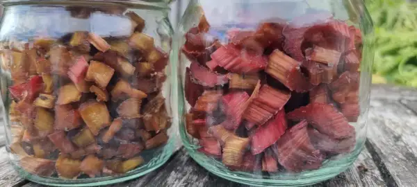 Två glasburkar fyllda med torkad rabarber, redo att användas i bakverk eller drycker.
