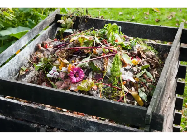 En kall kompost fylld med trädgårdsavfall, blommor och grönsaker. Snart blir det näringsrik jord för rabatten.