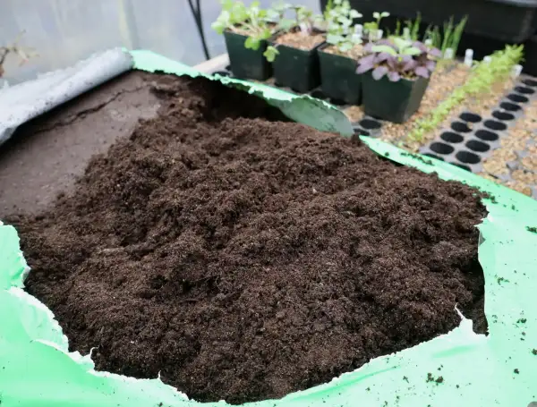 En stor hög med mörk, fuktig jord ligger i en öppen grön plastpåse. I bakgrunden syns små plantor i krukor och såbrätten, redo att planteras i den sterilisera jorden.