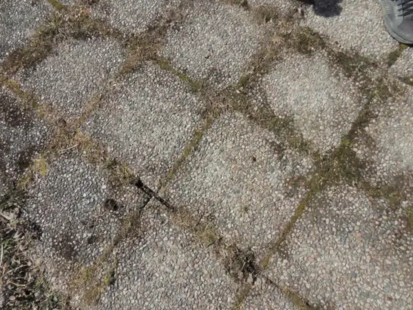 Grå stenplattor med mossa och gräs som behöver tas bort.